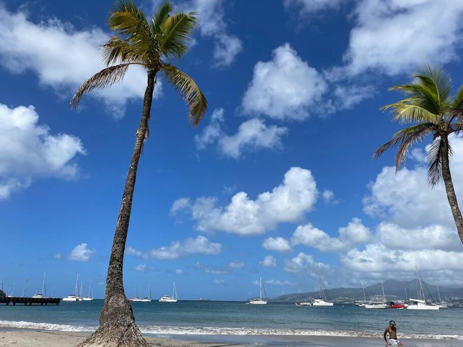L'Amour A La Plage...Vue Mer Exceptionnelle ! Les Trois-Ilets Kültér fotó